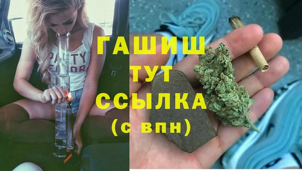 стафф Армянск