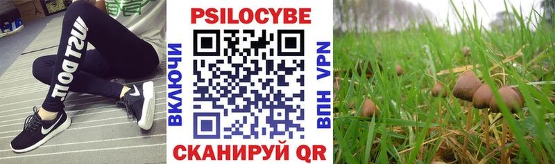 Псилоцибиновые грибы Cubensis  Ивдель 